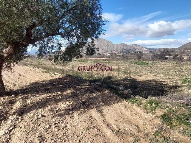 Terreno en venta en el Vinalopó Mitjà / El Vinalopó Medio, Valencia