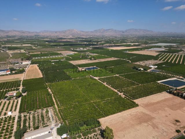 Terreno en venta en el Baix Segura / La Vega Baja, Valencia