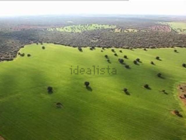 Terreno en venta en Ossa De Montiel, Castilla-La Mancha