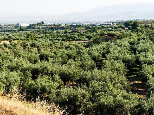 Terreno en venta en Otura, Andalucía