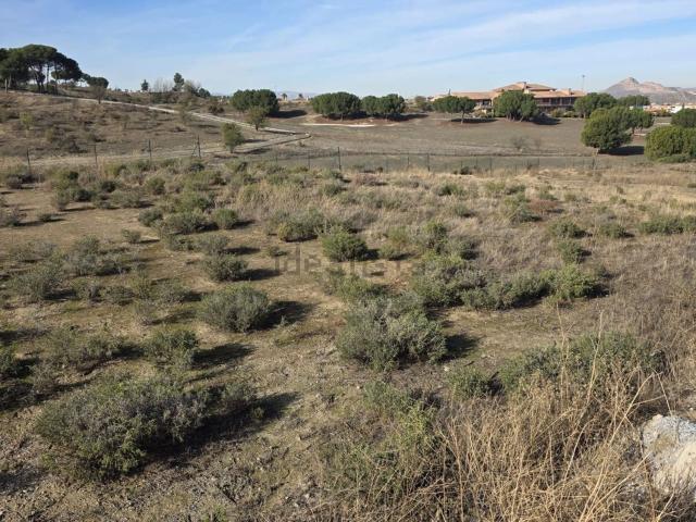 Terreno en venta en Comarca de la Vega de Granada, Andalucía