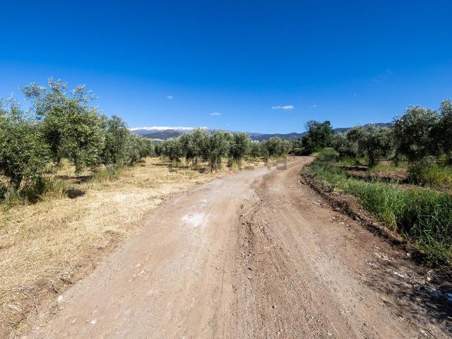 Terreno en venta en Comarca de la Vega de Granada, Andalucía