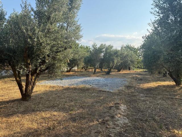 Terreno en venta en Comarca de la Vega de Granada, Andalucía