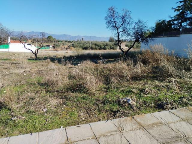 Terreno en venta en Comarca de la Vega de Granada, Andalucía