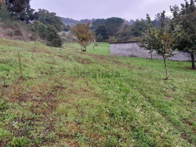 Terreno en venta en Seixalbo, Gomesende