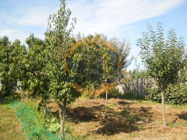 Terreno venda em Ovar, Aveiro