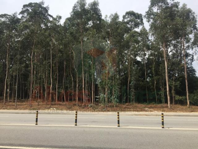 Terreno alugar em Maia, Barca