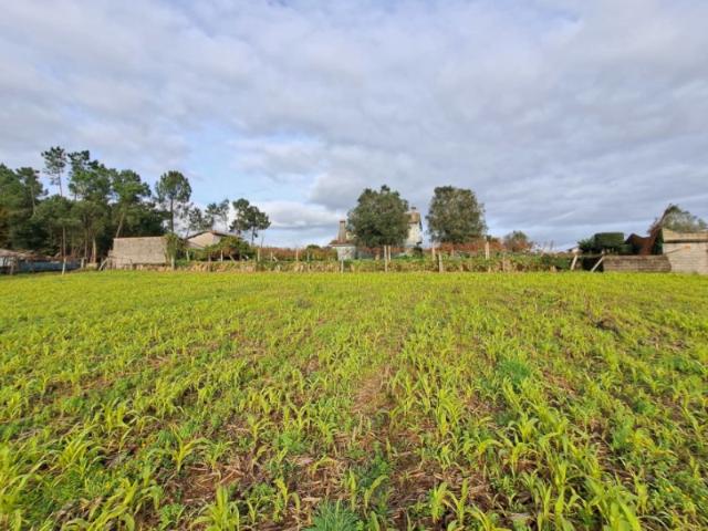 Terreno venda em Boalhosa, Viana Do Castelo