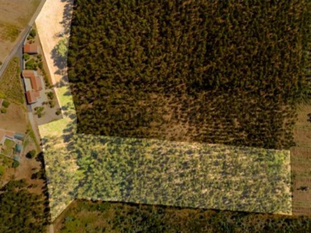 Terreno venda em Cadaval, Pêro Moniz