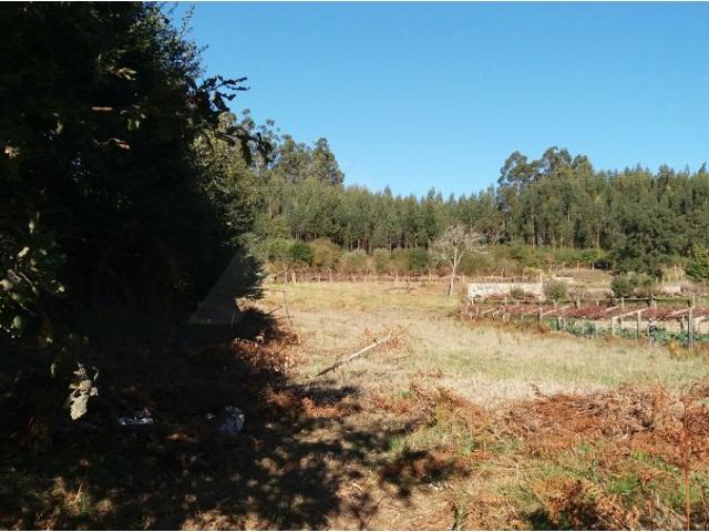 Terreno venda em Veiga do Monte, Romarigães
