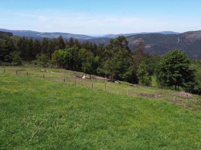 Terreno venda em Boalhosa, Viana Do Castelo