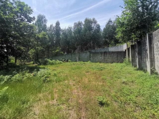 Terreno venda em Boalhosa, Viana Do Castelo