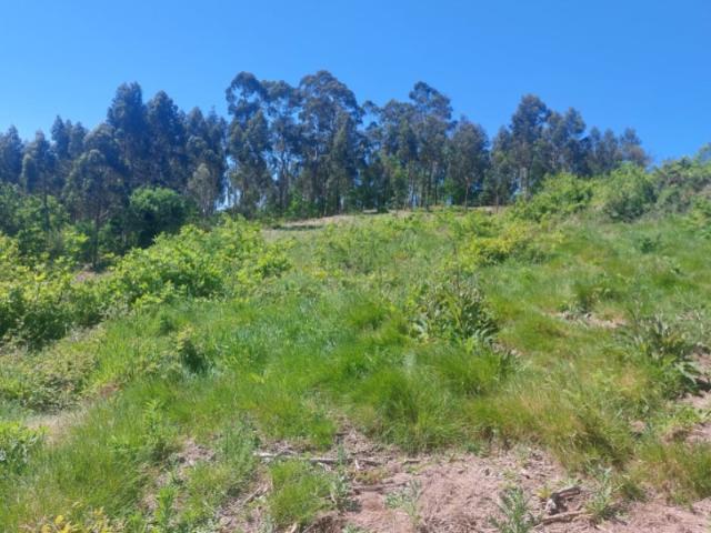 Terreno venda em Boalhosa, Viana Do Castelo