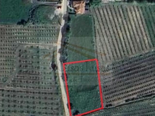 Terreno venda em Cadaval, Vermelha