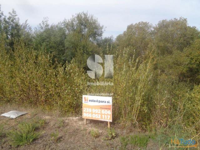 Terreno venda em Vila Nova De Poiares, Coimbra