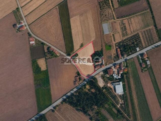 Terreno venda em Loureiro, Oliveira de Azeméis