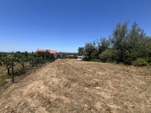 Terreno venda em Leiria