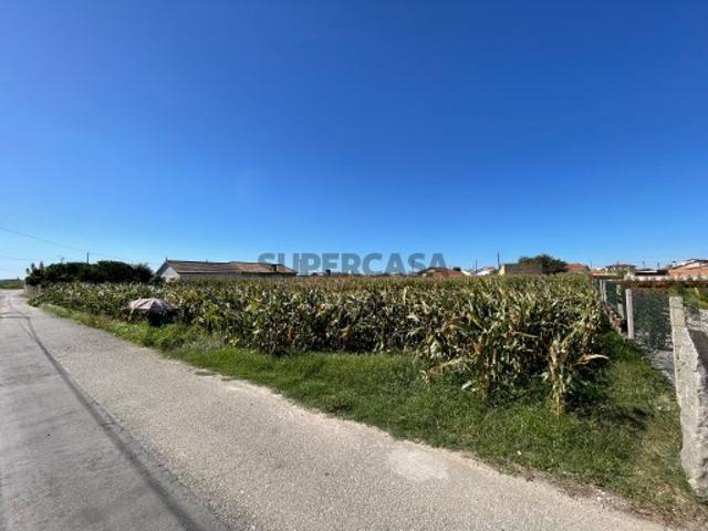 Terreno venda em Murtosa, Aveiro
