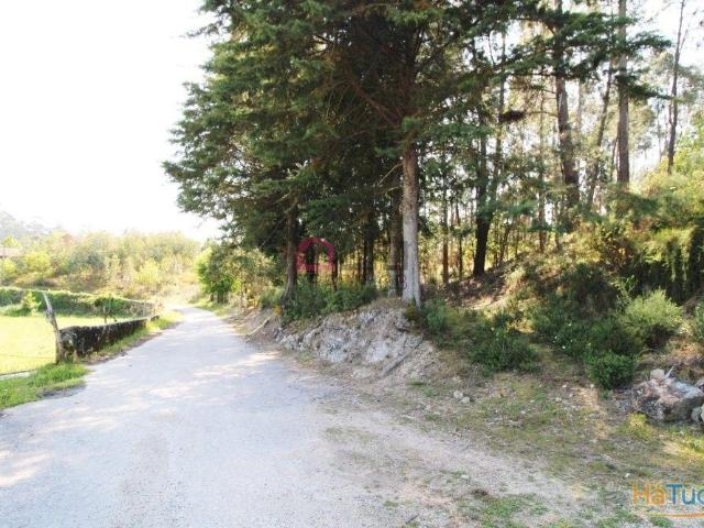Terreno venda em Oliveira De Frades, Viseu