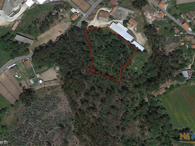 Terreno venda em Oliveira De Frades, Viseu