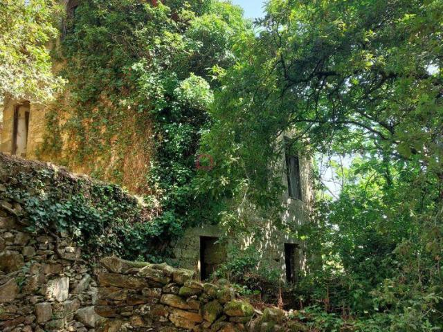 Terreno venda em Sever Do Vouga, Aveiro