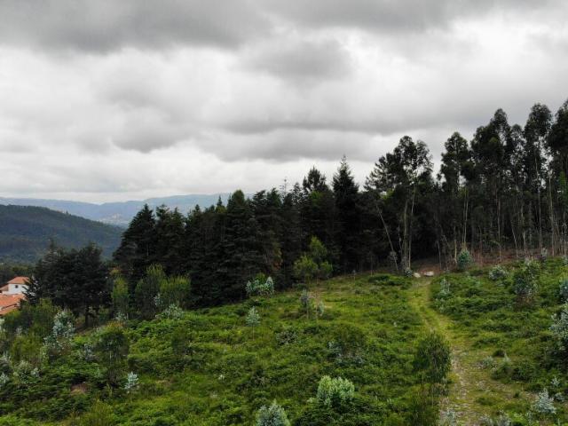 Terreno venda em Parada Do Bouro, Braga