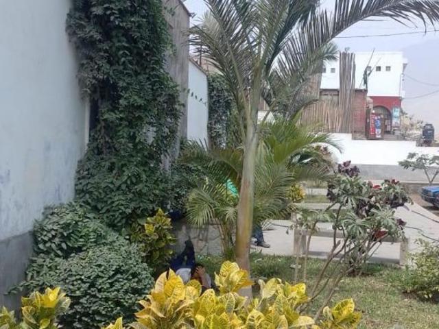 TERRENO Pachacamac 284 M2 Fte Parq. Dos lotes Juntos