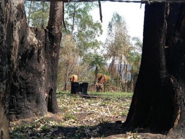 Terreno venda em Região Imediata de Jundiaí, Campo Limpo Paulista