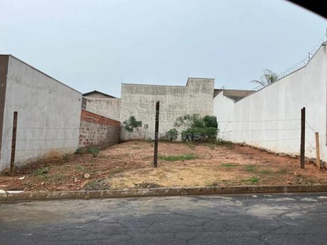 Terreno venda em Jaci