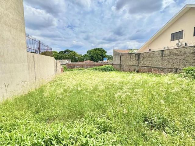 Terreno venda em Região Geográfica Imediata de Maringá, Maringá