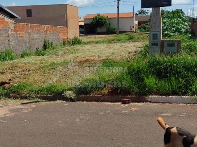 Terreno venda em Região Imediata de São José do Rio Preto, Região Metropolitana de São José do Rio Preto