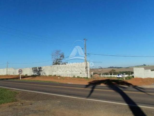 Terreno venda em Região Geográfica Imediata de Ponta Grossa, Ponta Grossa
