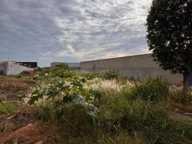 Terreno venda em Região Geográfica Imediata de Loanda, Porto Rico
