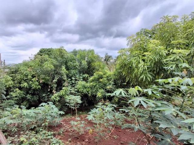 Terreno venda em Ribeirão Preto