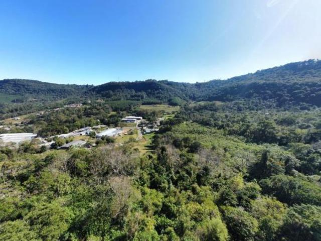 Terreno venda em Gramado