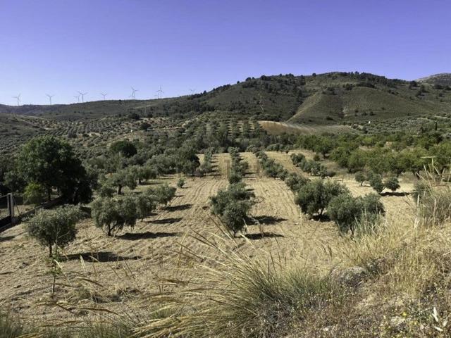 Terreno en venta en El Puntal, Comarca del Valle de Lecrín