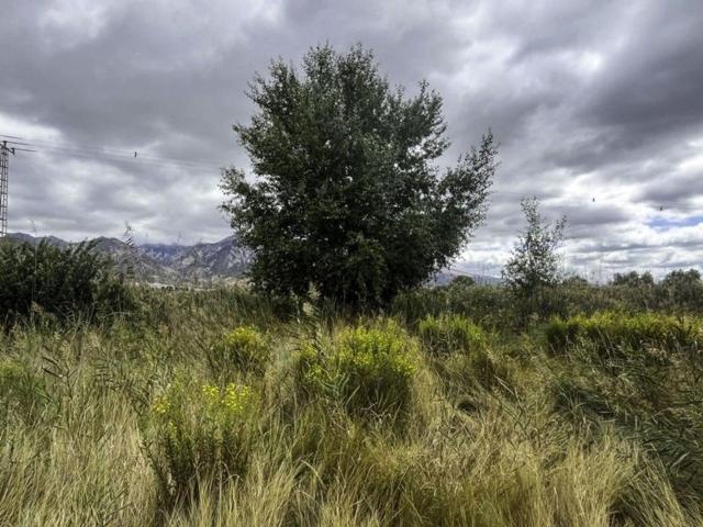Terreno en venta en Padul, Granada