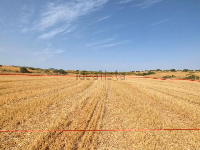 Terreno en venta en El Puntal, Comarca del Valle de Lecrín