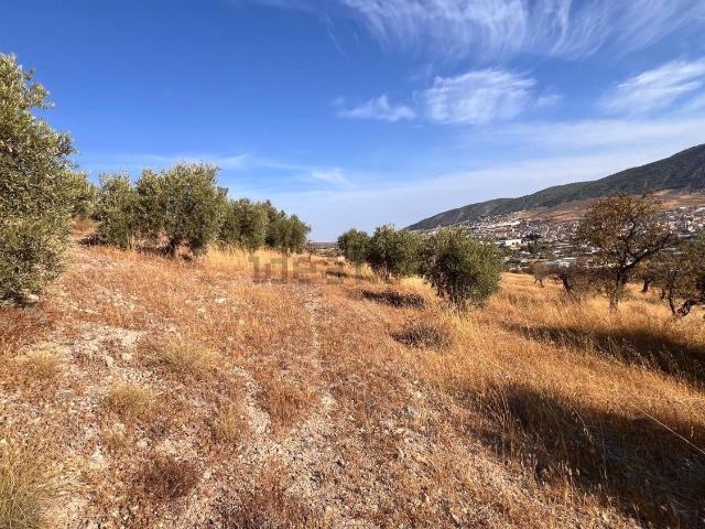 Terreno en venta en Padul, Granada