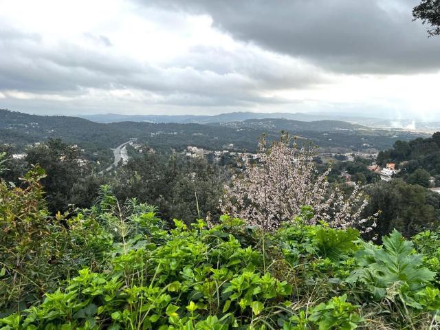 Terreno en venta en Maresme, Catalunya