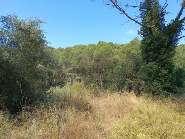 Terreno en venta en Tamariu, Palafrugell