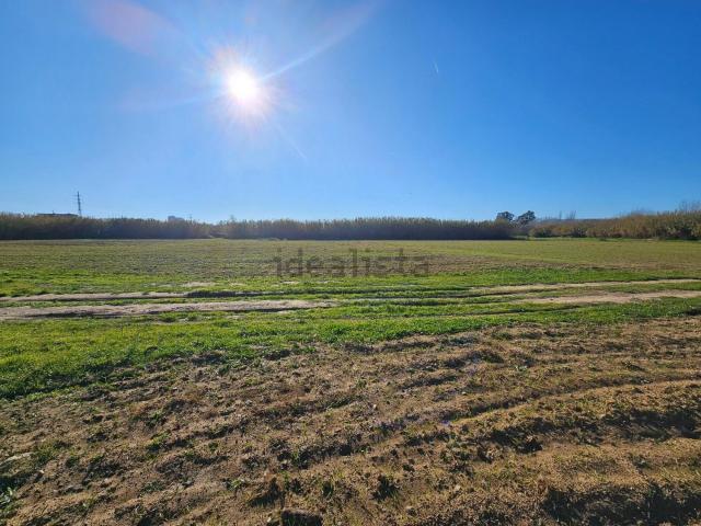Terreno en venta en Sant Joan de Palamós, Baix Empordà