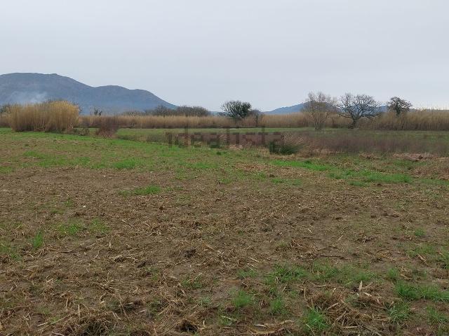Terreno en venta en Alt Empordà, Catalunya