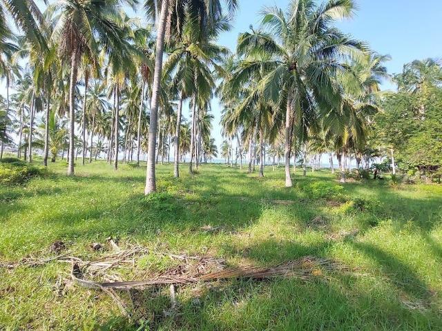Terreno en venta en Técpan De Galeana, Guerrero