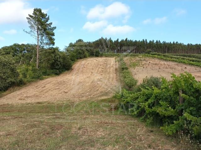 Terreno venda em Caldas Da Rainha, Leiria