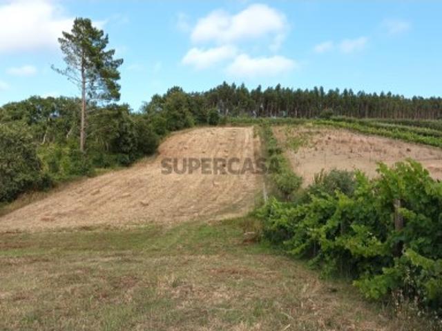 Terreno venda em Caldas Da Rainha, Leiria