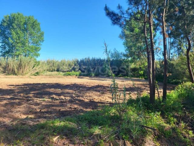 Terreno venda em Pederneira, Valado Dos Frades