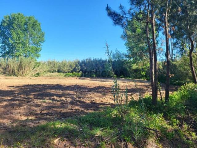 Terreno venda em Pederneira, Leiria