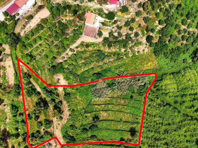 Terreno venda em Monchique, Faro