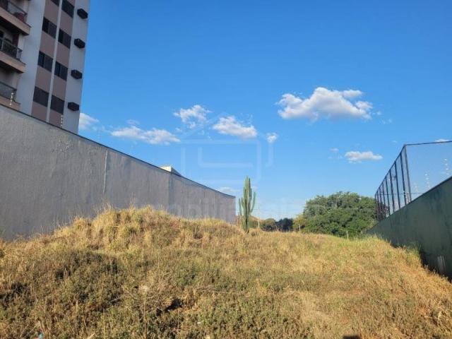 Terreno aluguel em Região Imediata de Jaú, Jaú
